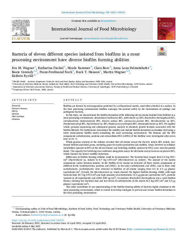 (PDF) Bacteria of eleven different species isolated from biofilms in a ...