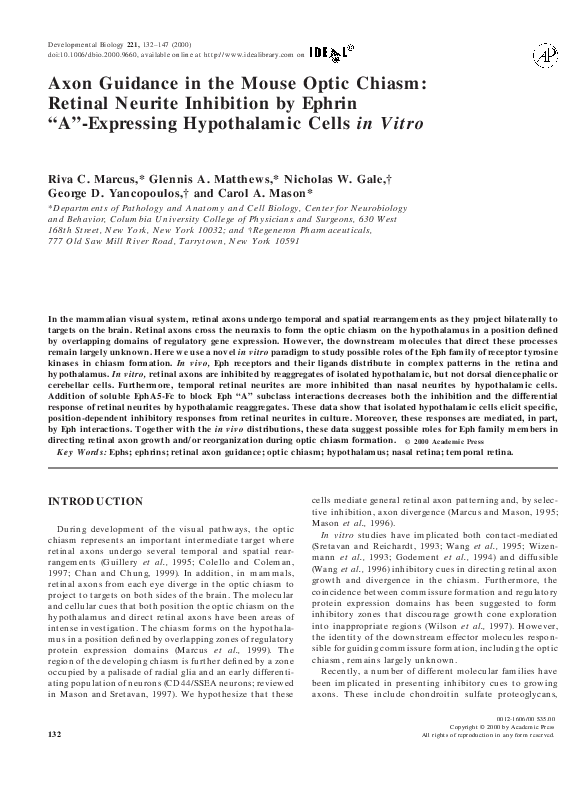 (PDF) Axon Guidance in the Mouse Optic Chiasm: Retinal Neurite ...