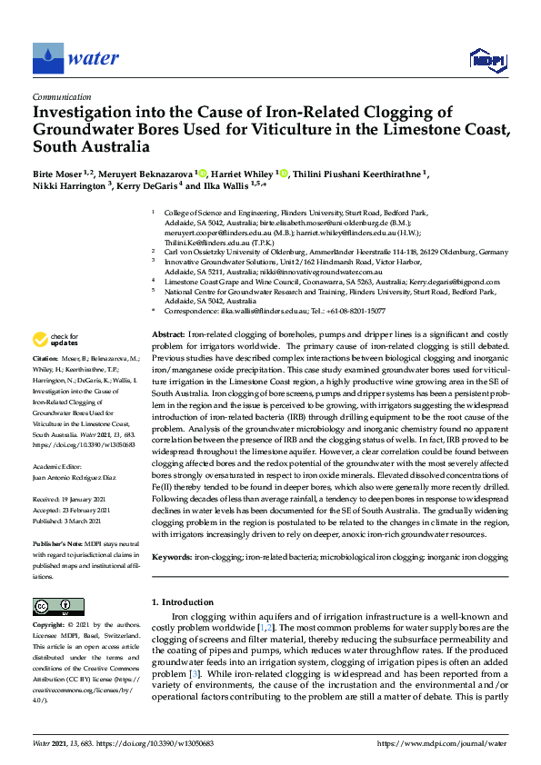 (PDF) Investigation into the Cause of IronRelated Clogging of
