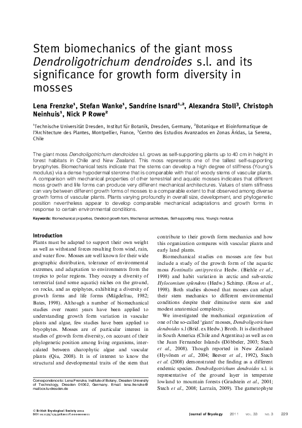 (PDF) Stem biomechanics of the giant moss Dendroligotrichum dendroides ...