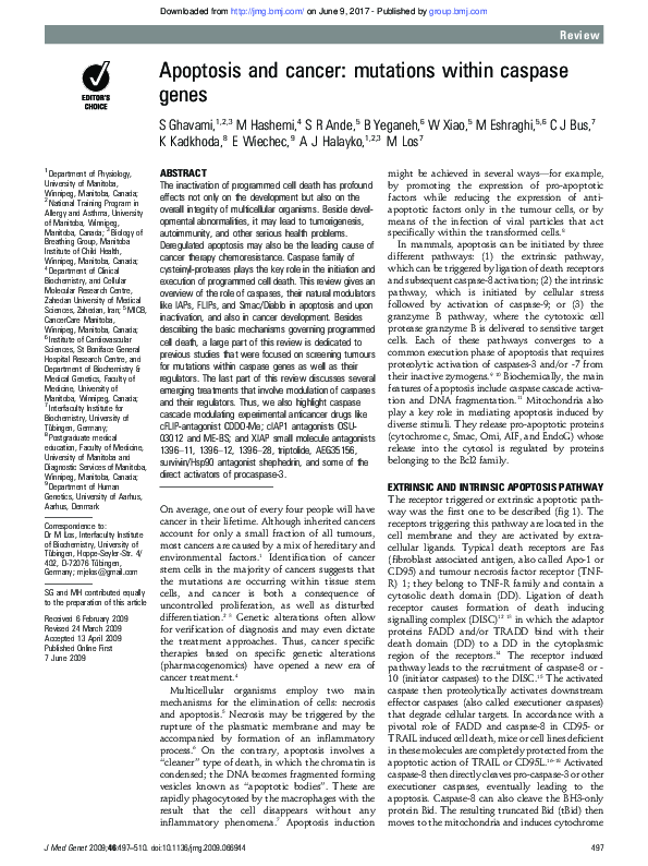 (PDF) Apoptosis and cancer: mutations within caspase genes