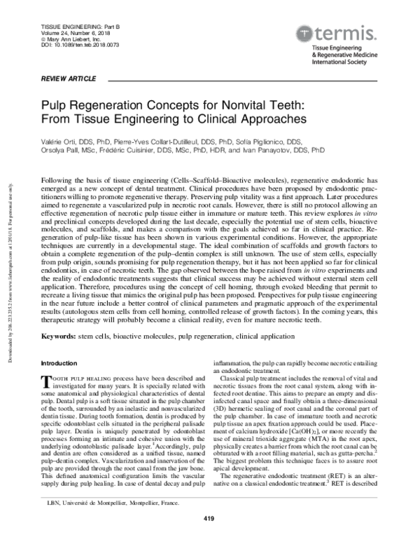 (PDF) Pulp Regeneration Concepts for Nonvital Teeth: From Tissue ...