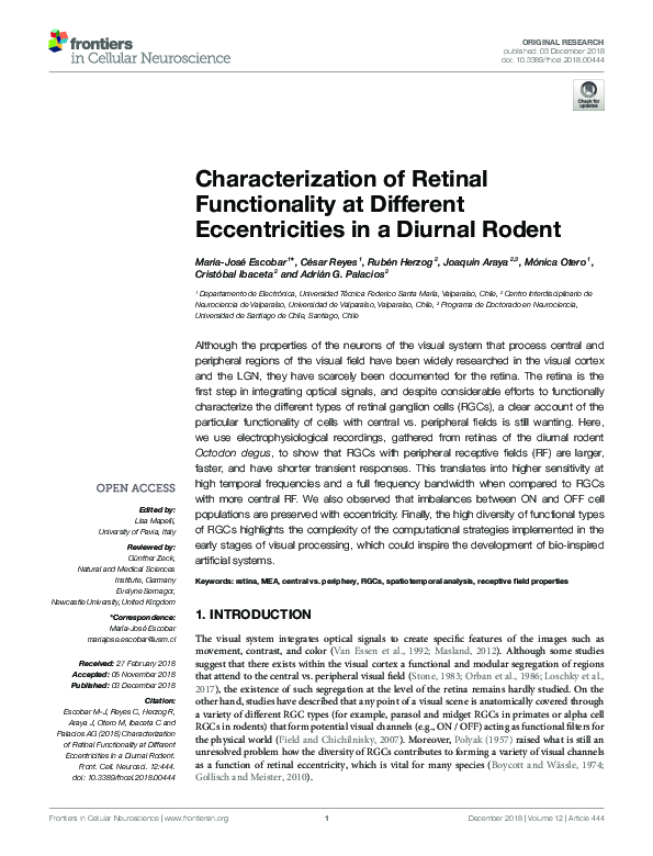 (PDF) Characterization of Retinal Functionality at Different ...