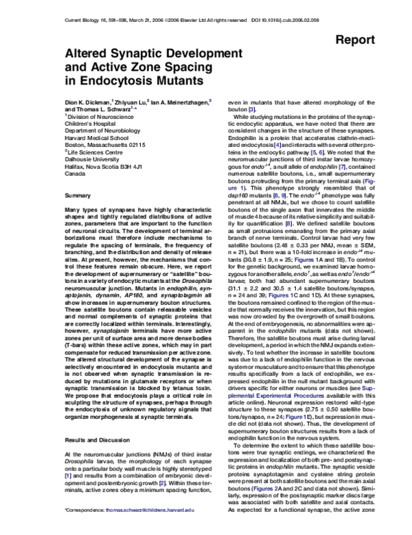 (PDF) Altered Synaptic Development and Active Zone Spacing in ...