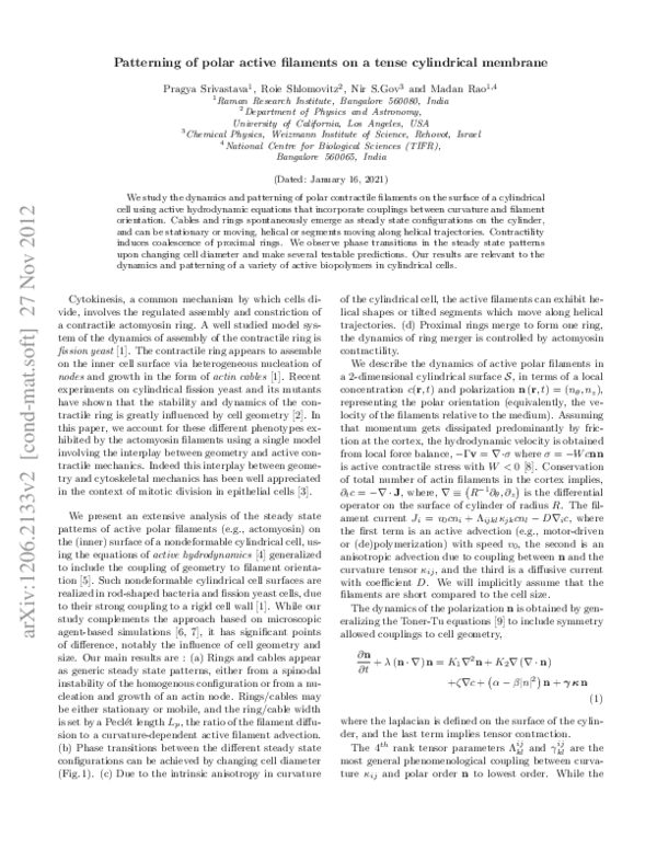 (PDF) Patterning of Polar Active Filaments on a Tense Cylindrical Membrane