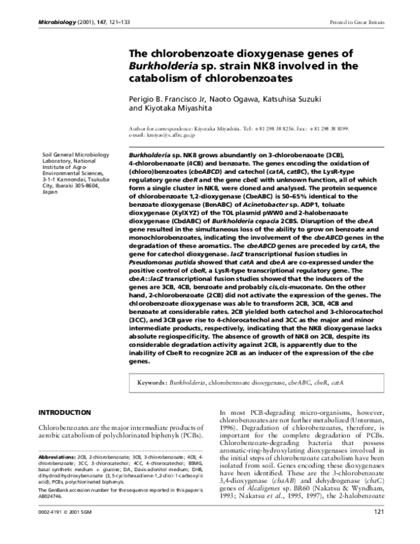 (PDF) The chlorobenzoate dioxygenase genes of Burkholderia sp. strain ...