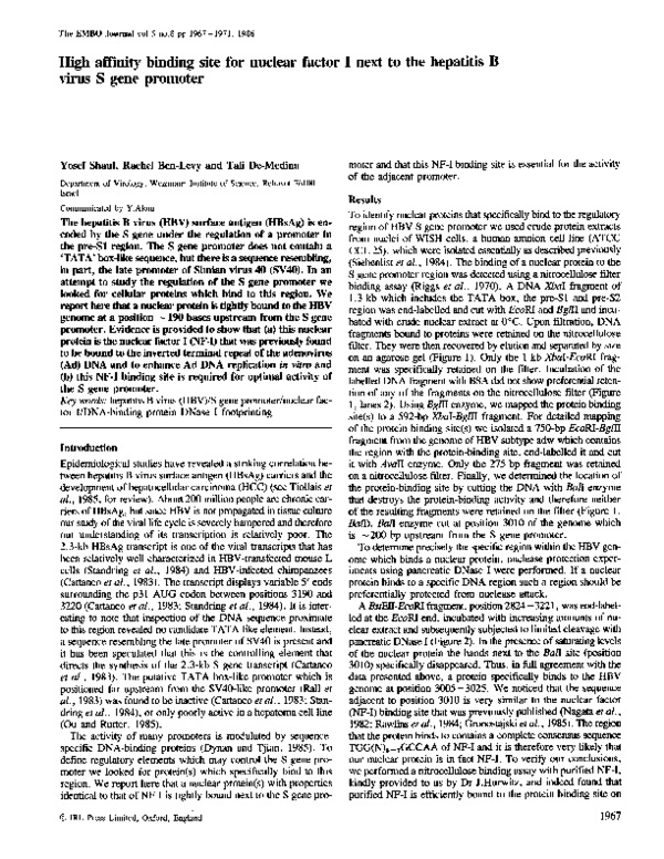 (PDF) High affinity binding site for nuclear factor I next to the ...