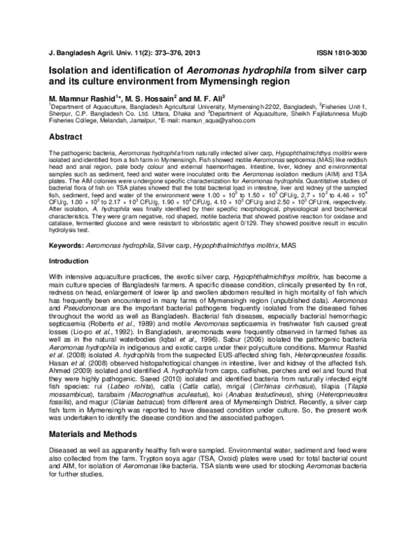 (PDF) Isolation and identification of Aeromonas hydrophila from silver ...