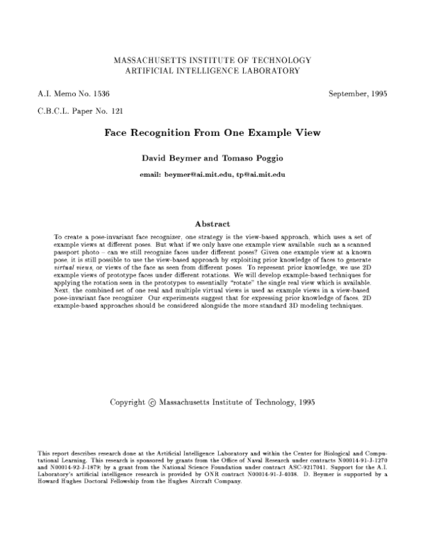 (PDF) Face recognition from one example view