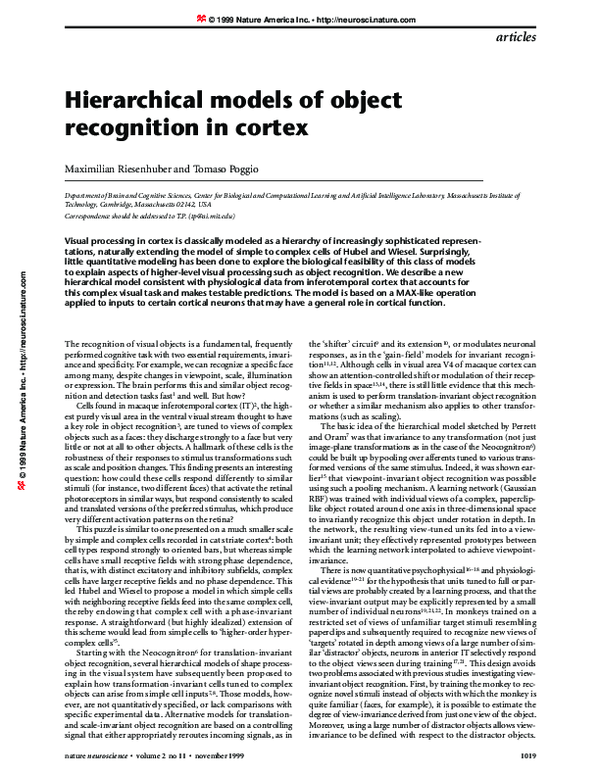 (PDF) Hierarchical models of object recognition in cortex