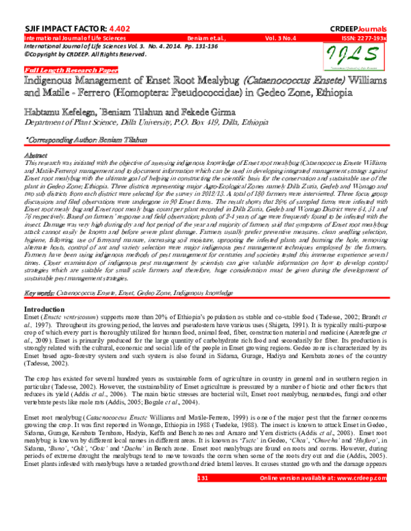 (PDF) Indigenous Management of Enset Root Mealybug ( Cataenococcus ...