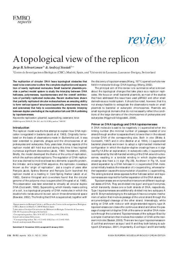 (PDF) A topological view of the replicon