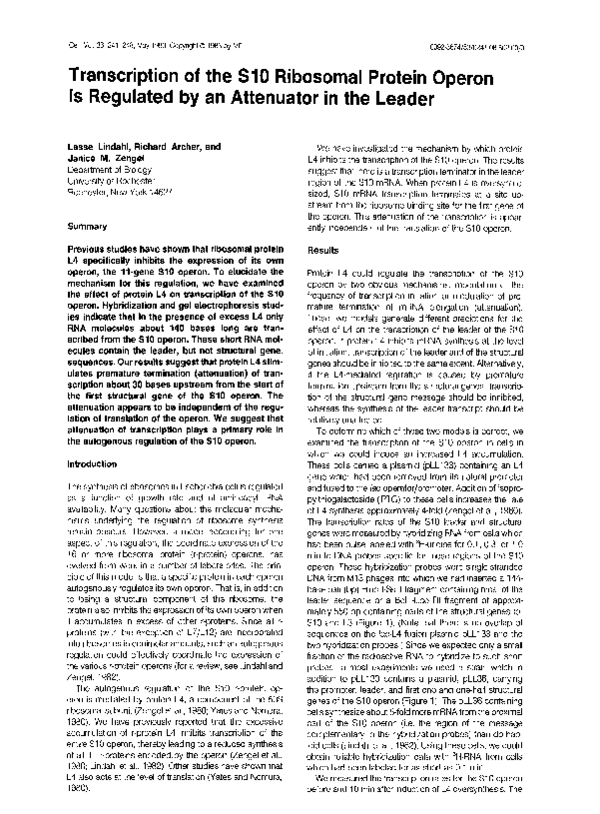 (PDF) Transcription of the s10 ribosomal protein operon is regulated by ...
