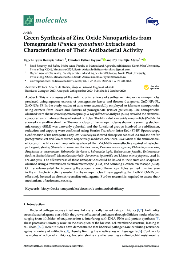 (PDF) Green synthesis of zinc oxide nanoparticles from root extract of ...