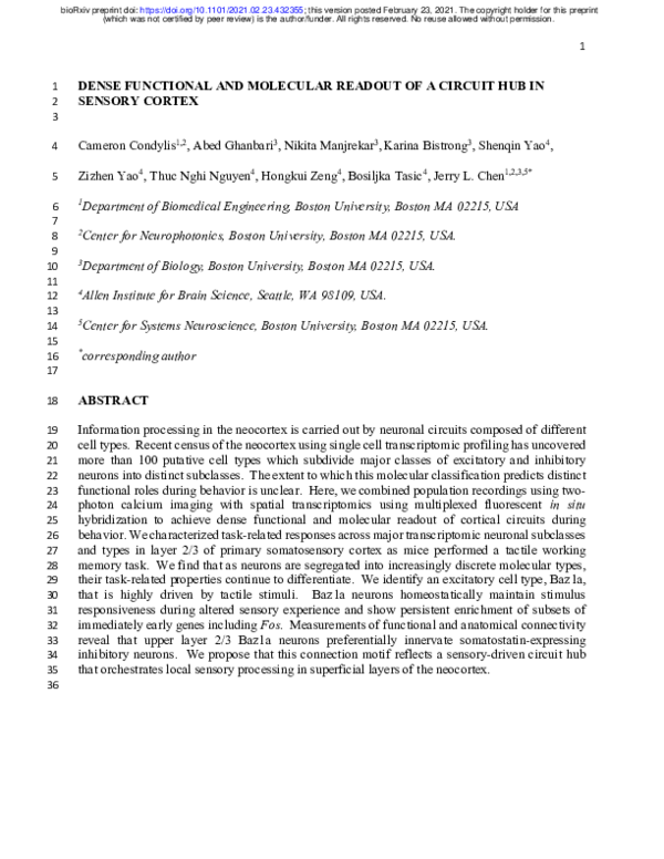(PDF) Dense Functional and Molecular Readout of a Circuit Hub in ...