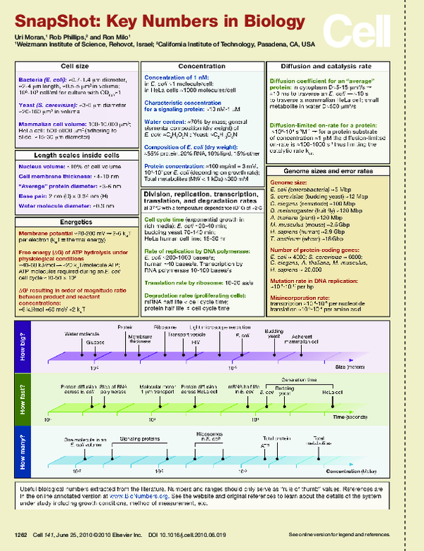 (PDF) SnapShot Key Numbers in Biology Ron Milo Academia.edu