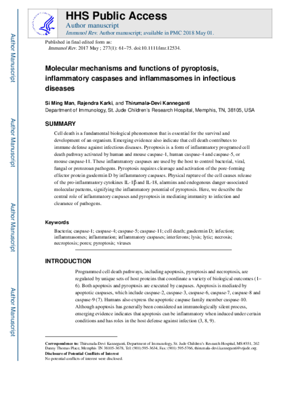 (PDF) Molecular mechanisms and functions of pyroptosis, inflammatory ...
