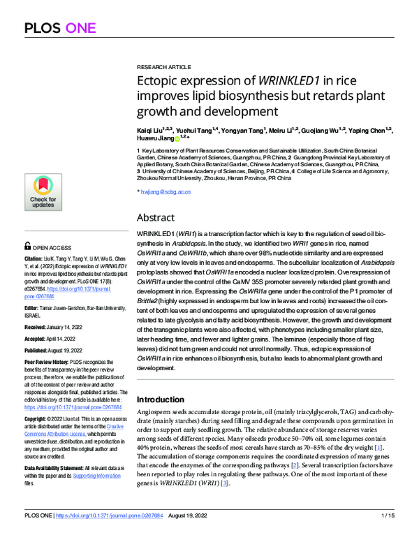 (PDF) Ectopic expression of WRINKLED1 in rice improves lipid ...