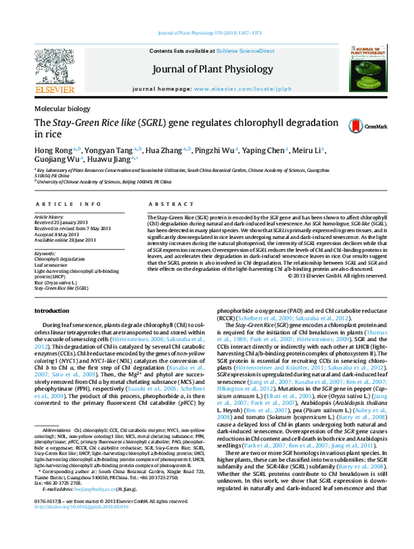 (PDF) The Stay-Green Rice like (SGRL) gene regulates chlorophyll ...