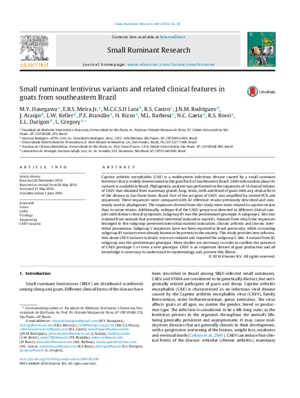 (PDF) Small ruminant lentivirus variants and related clinical features ...