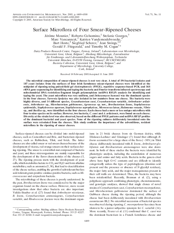 (PDF) Surface Microflora of Four Smear-Ripened Cheeses