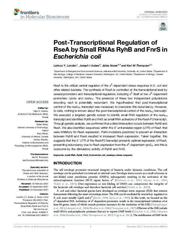 (PDF) Post-Transcriptional Regulation of RseA by Small RNAs RyhB and ...