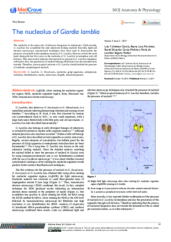 (PDF) The Nucleolus of Giardia lamblia