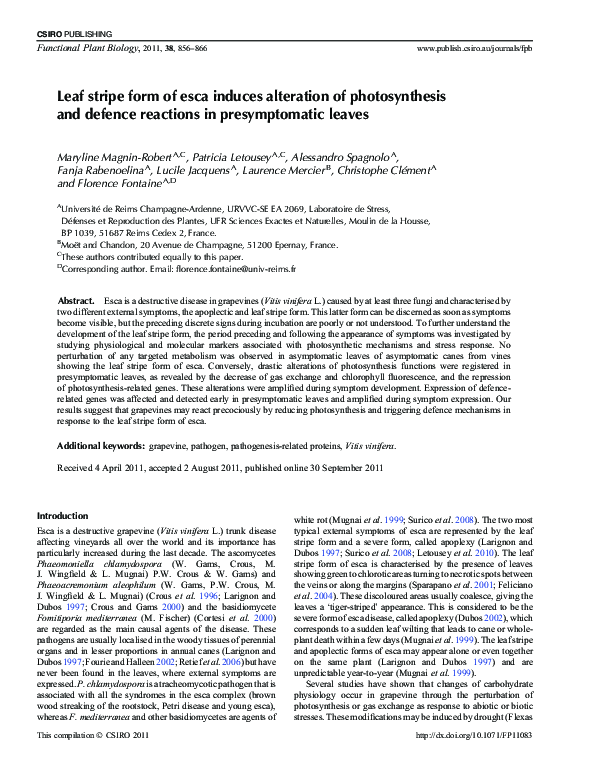 (PDF) Leaf stripe form of esca induces alteration of photosynthesis and ...