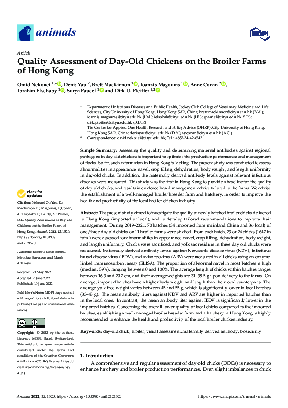 (PDF) Quality Assessment of Day-Old Chickens on the Broiler Farms of ...