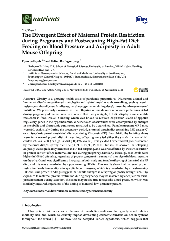 (PDF) The Divergent Effect of Maternal Protein Restriction during ...