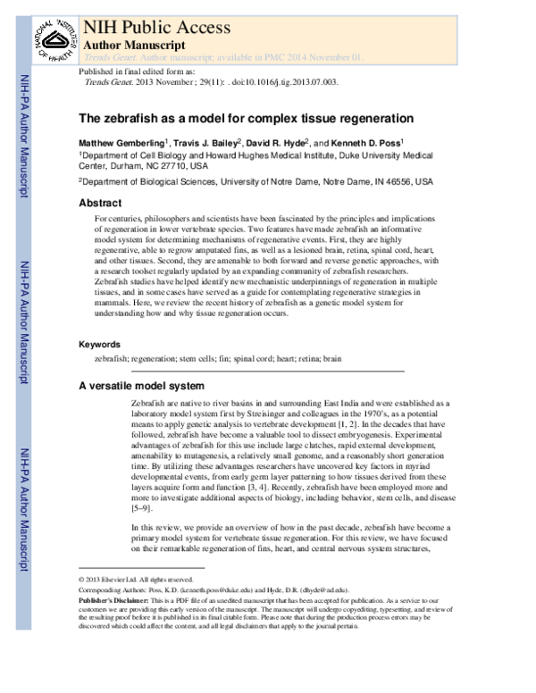(PDF) The zebrafish as a model for complex tissue regeneration