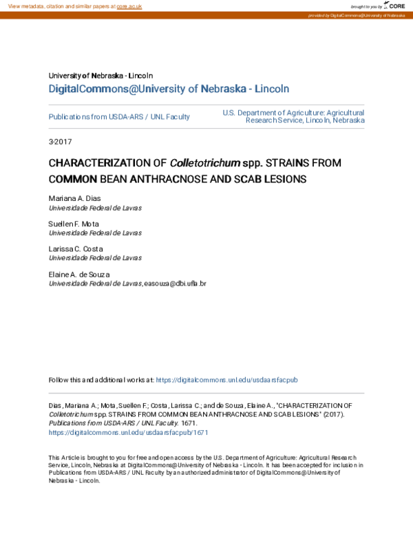 (PDF) CHARACTERIZATION OF \u3ci\u3eColletotrichum\u3c/i\u3e spp ...