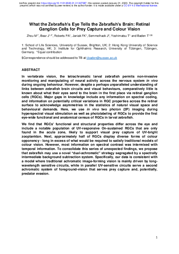 (PDF) What the Zebrafish's Eye Tells the Zebrafish's Brain: Retinal ...