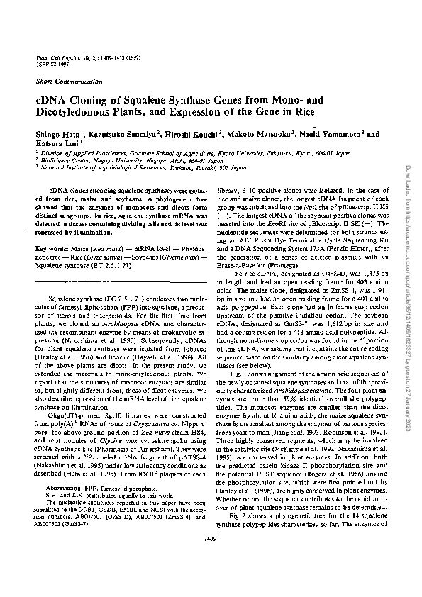 (PDF) cDNA Cloning of Squalene Synthase Genes from Mono- and ...
