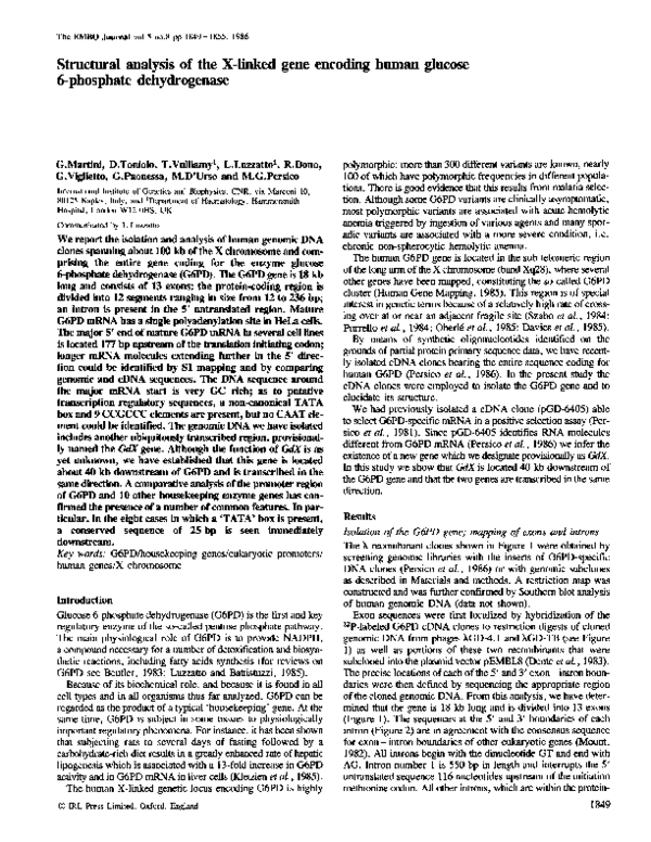 (PDF) Structural analysis of the X-linked gene encoding human glucose 6 ...