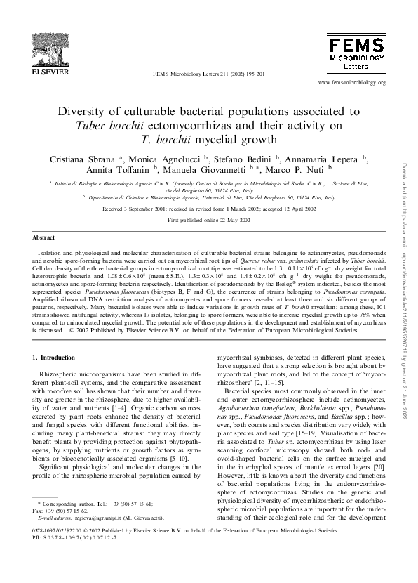 (PDF) Diversity of culturable bacterial populations associated toTuber ...
