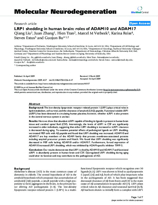 (PDF) LRP1 shedding in human brain: roles of ADAM10 and ADAM17