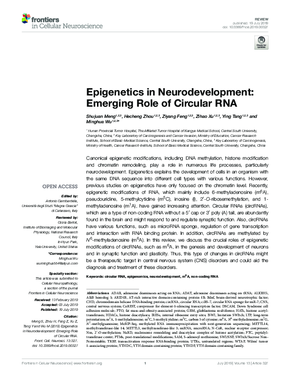 (PDF) Epigenetics in Neurodevelopment: Emerging Role of Circular RNA