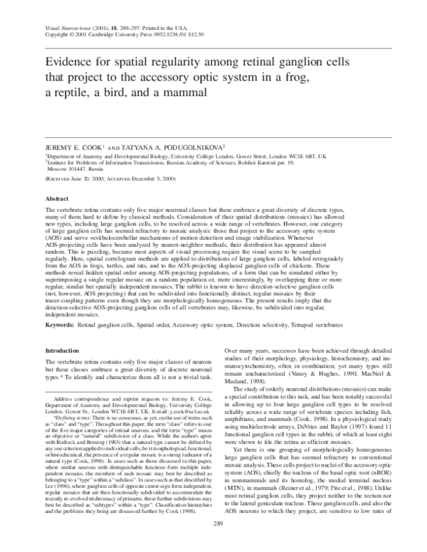 (PDF) Evidence for spatial regularity among retinal ganglion cells that ...