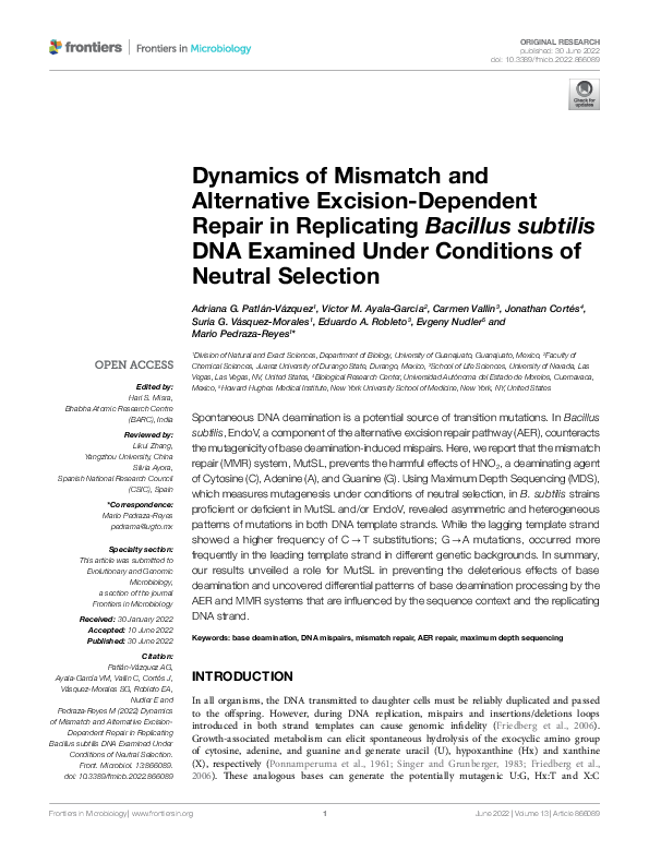(PDF) Dynamics of Mismatch and Alternative Excision-Dependent Repair in ...