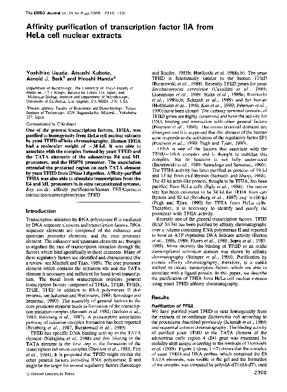 (PDF) Affinity purification of transcription factor IIA from HeLa cell ...