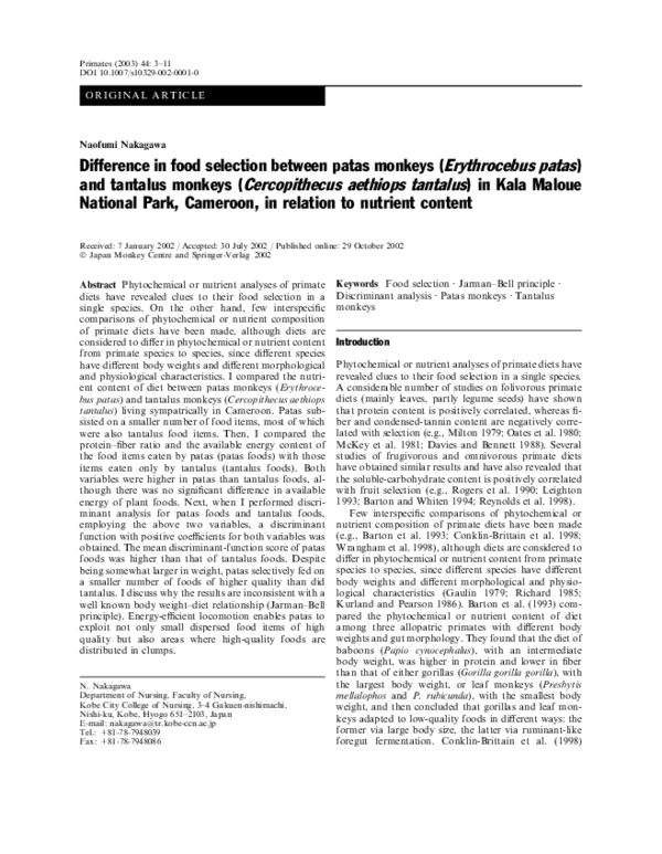 (PDF) Difference in food selection between patas monkeys (Erythrocebus ...