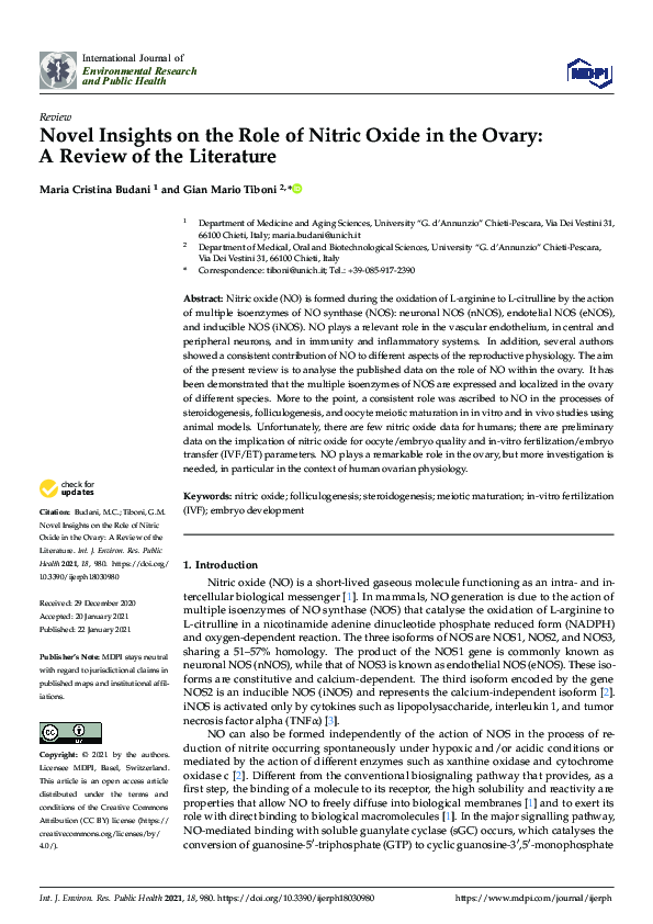 (PDF) Novel Insights on the Role of Nitric Oxide in the Ovary: A Review ...
