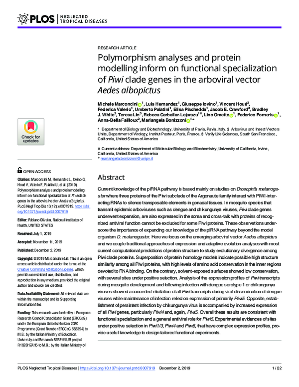 (PDF) Polymorphism analyses and protein modelling inform on functional ...