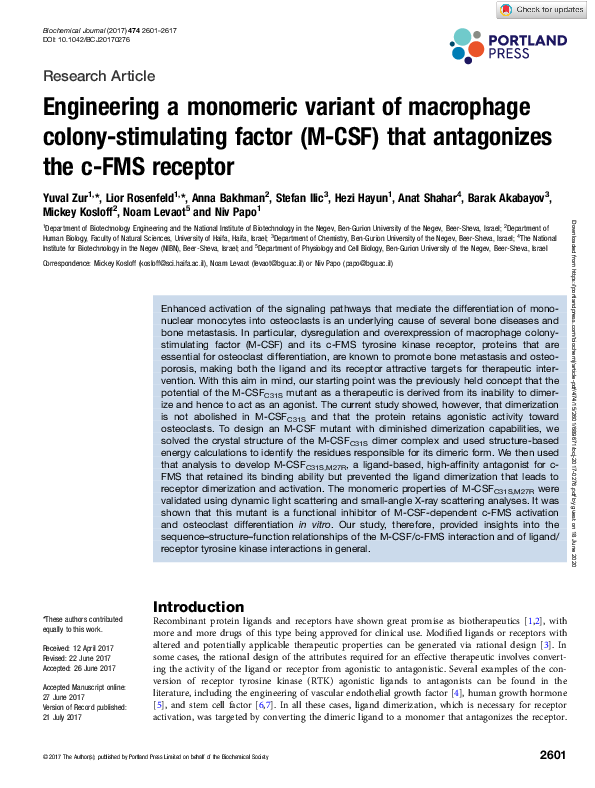 (PDF) Engineering a monomeric variant of macrophage colony-stimulating ...
