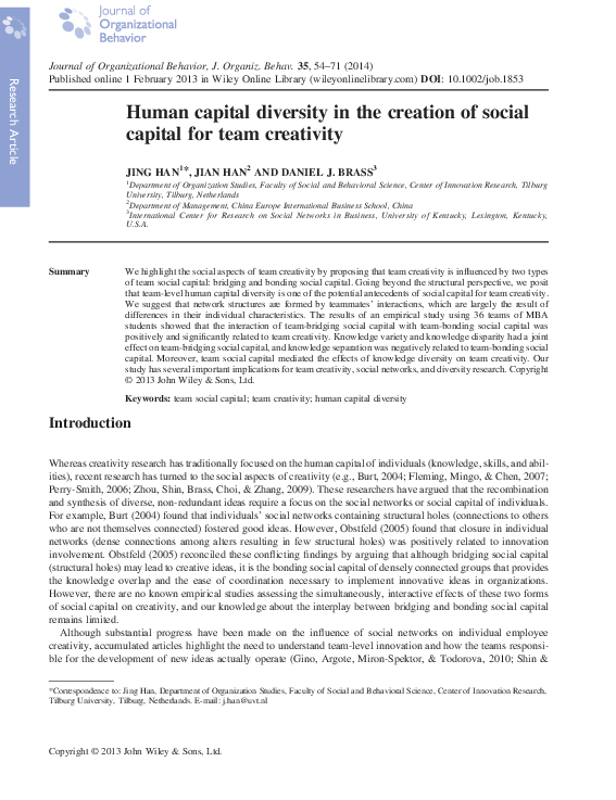 (PDF) Human capital diversity in the creation of social capital for ...
