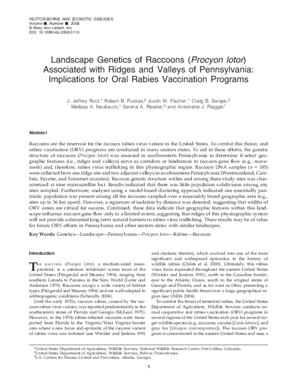 (PDF) Landscape Genetics of Raccoons ( Procyon lotor ) Associated with ...