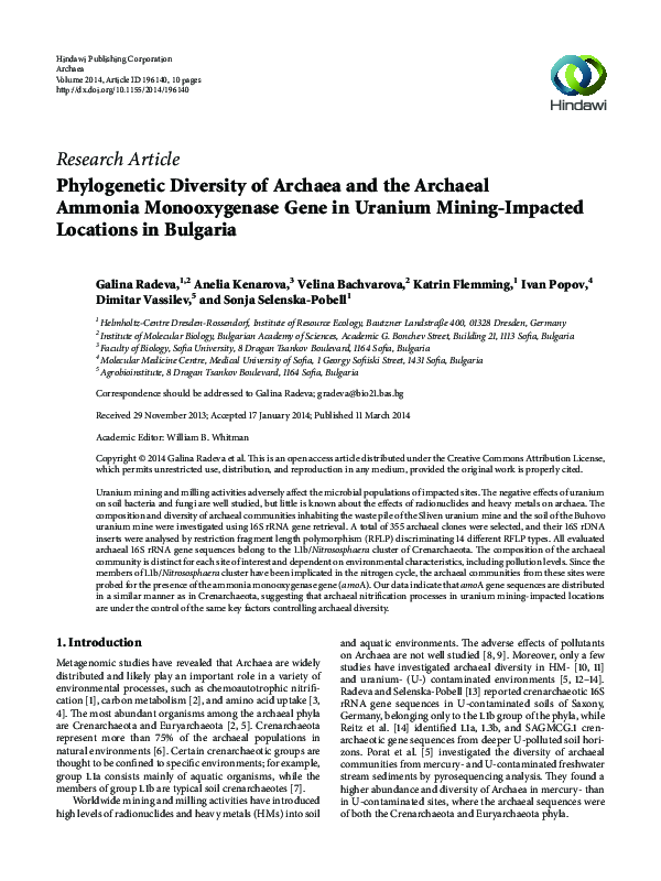 (PDF) Phylogenetic diversity of archaea and the archaeal ammonia ...