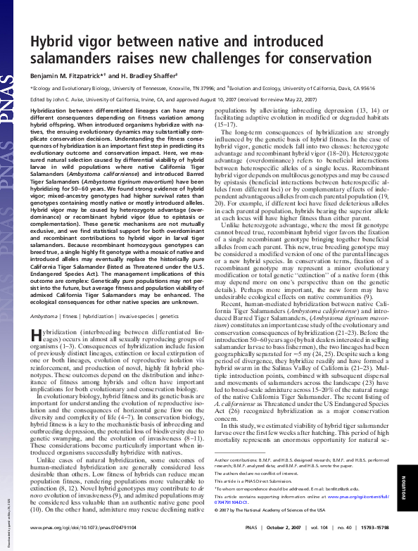 (PDF) Hybrid vigor between native and introduced salamanders raises new ...