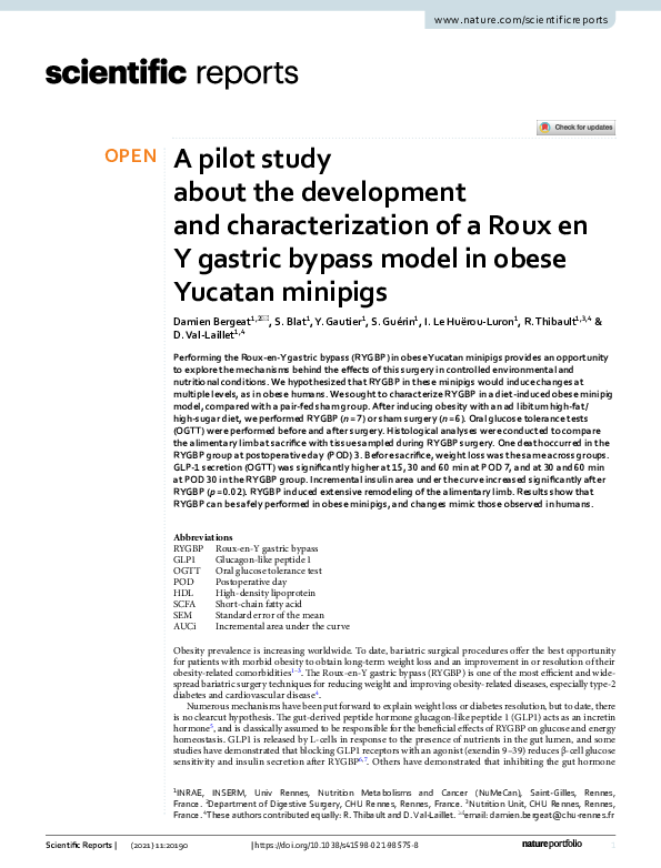 (PDF) A pilot study about the development and characterization of a ...